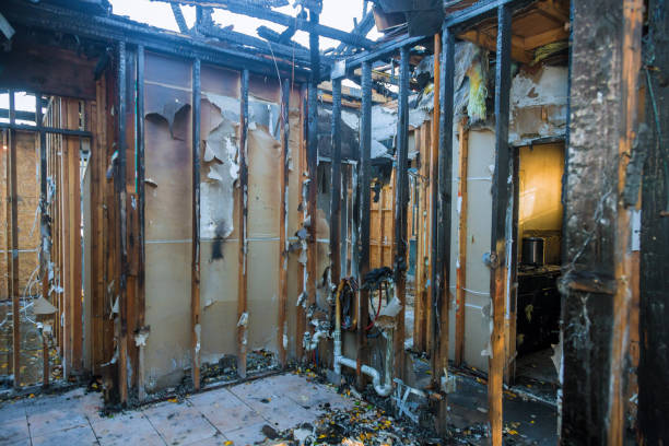 Professional Fire Damage Removal technician working in Minot AFB, ND
